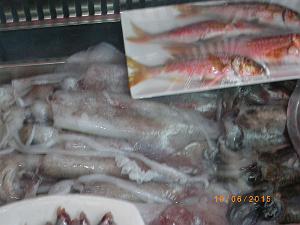 2015 06 06 et 07  APNA A DALIAS ALMERIA  (210)